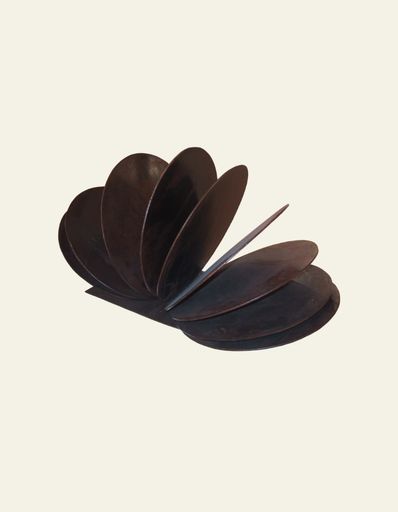 Encontrando mi lugar